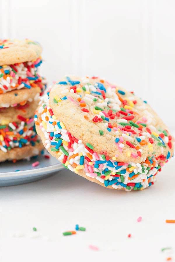 Quick and Easy Ice Cream Sandwiches