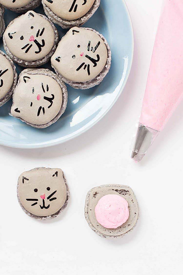 Do It Yourself Creative Desserts - Kitten Macarons