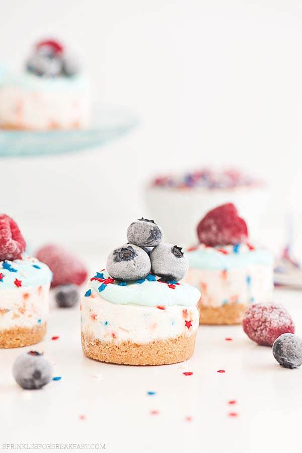 Best Quick and Easy Cheesecake Recipe